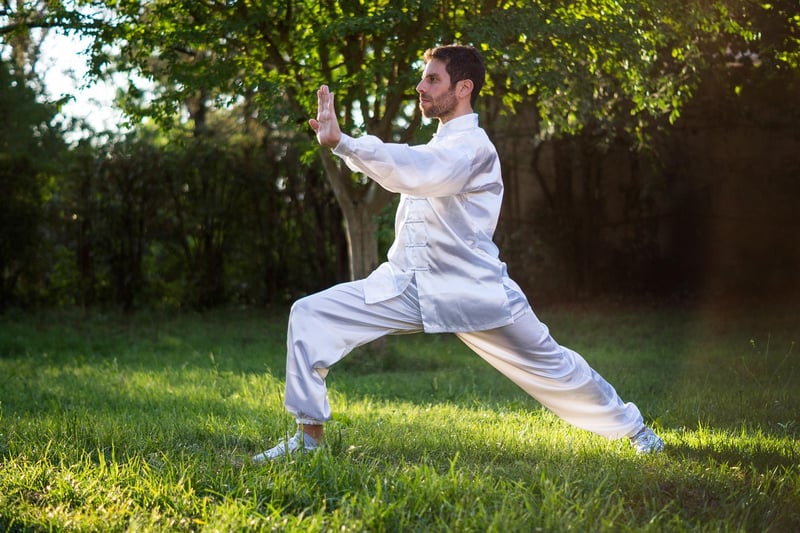 Wu Style Tai Chi Practice